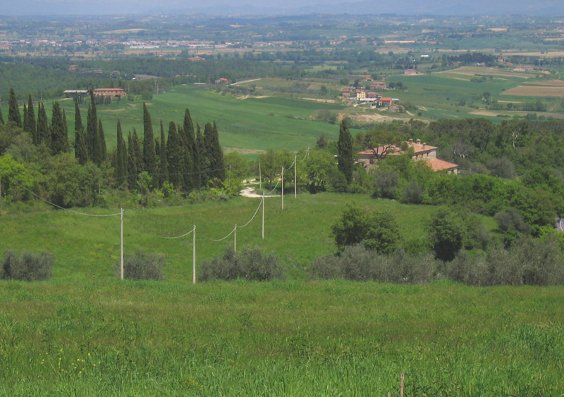 Torna al Pranzo