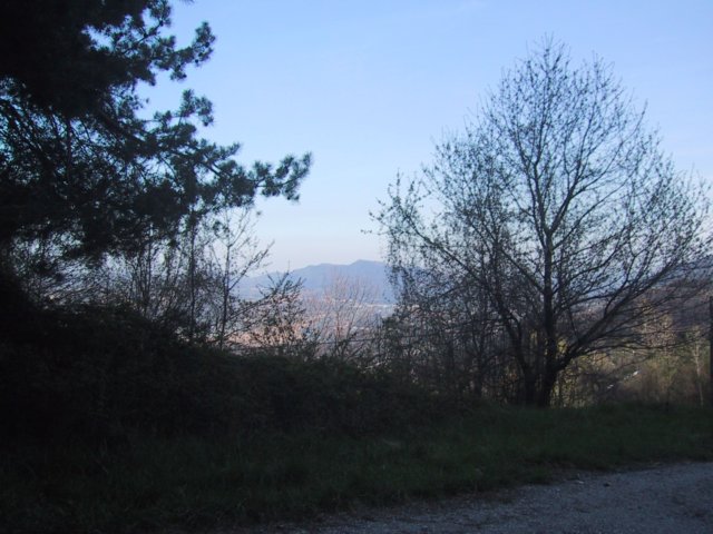 consonno_0010.jpg