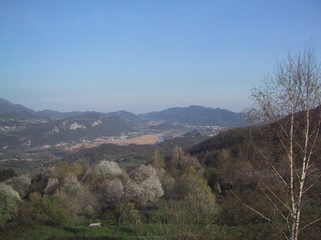 consonno_0015.jpg