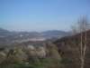 consonno_0015_small.jpg