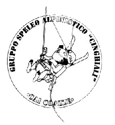 logo cinghiali