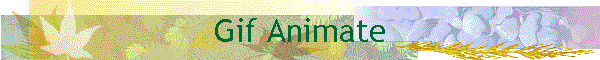 Gif Animate