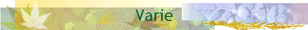 Varie