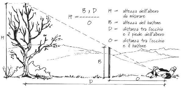 Misura piede clearance per altezza