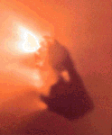 La spettacolare immagine del nucleo della cometa di Halley vista dalla sonda GIOTTO