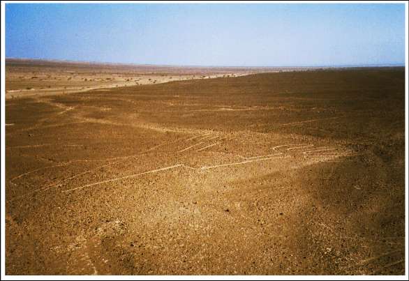 linee di Nazca