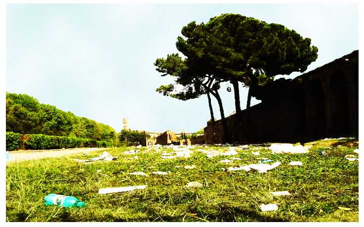 I giardini dietro Piazza S.Giovanni... il giorno dopo