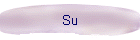 Su