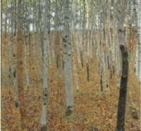 G.Klimt - Foresta