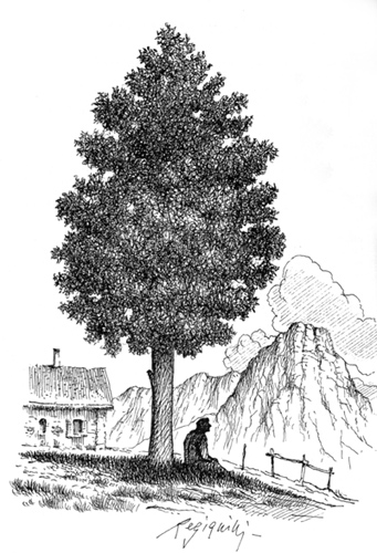 Illustrazione di Luigi Regianini