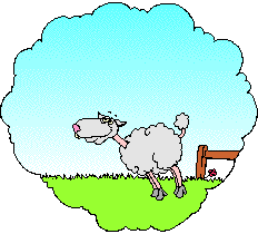 Gif Animate Pecore 18