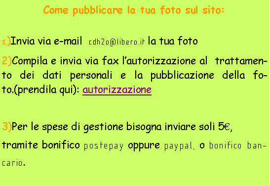 Casella di testo: Come pubblicare la tua foto sul sito:1)Invia via e-mail  cdh2o@libero.it la tua foto 2)Compila e invia via fax lautorizzazione al  trattamento dei dati personali e la pubblicazione della foto.(prendila qui): autorizzazione	3)Per le spese di gestione bisogna inviare soli 5, tramite bonifico postepay oppure paypal, o bonifico bancario. Chiedimi via email gli estremi per il pagamento.