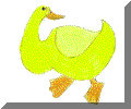 duck.gif (12104 byte)