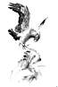 boris_vallejo_bw_birdofprey.jpg