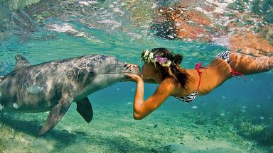 //digilander.libero.it/delfino.nero1/photo-girl-and-dolphin-kiss-sanownik-com-ocean-life-33852-jpg-2992550%20delfino%202.jpg