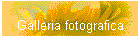 Galleria fotografica