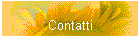 Contatti