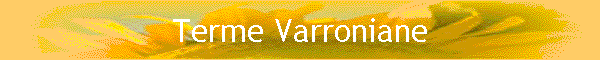 Terme Varroniane