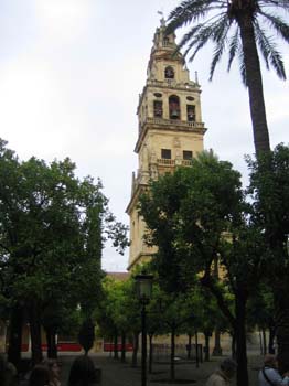 mesquita