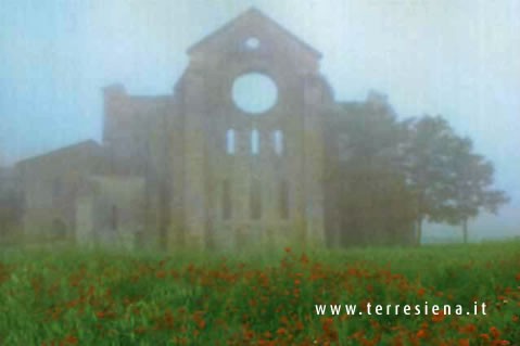 Basilica S.Galgano