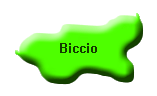 Biccio