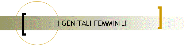 I GENITALI FEMMINILI