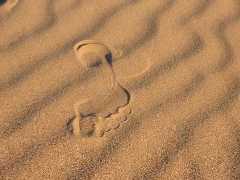un'orma sulla sabbia