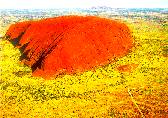 AYERS ROCK
Questo monolito si trova nel centro del continente Australiano. Gli aborigeni lo chiamano ULURU, ed  ritenuto un luogo sacro. Non  ben chiaro come questa formazione rocciosa si sia formata, pare comunque che l'intero deserto circostante fosse, milioni di anni fa, come questo monolito, cio di roccia.
La foto rappresentata  stata fatta da un aereo permettendomi cosi' di vedere Ayers Rock al completo. Esiste la possibilit di scalarlo (1 ora di tempo), cosa che non mi sono perso, anche se il percorso  alquanto difficoltoso per via della pendenza elevata.   Tra l'altro, alla base iniziale del sentiero roccioso, esiste una lapide che elenca tutti i morti che ci sono stati nel corso di questi anni, in seguito a cadute dal monolito o per infarto una volta raggiunta la cima, questo per via dello sforzo necessario alla scalata. Ci detto,  mia personale opinione, che assieme alla discesa nel Gran Canyon, questa sia stata la scalata pi suggestiva che io ricorda.
[Foto e commenti di Valter Airola]