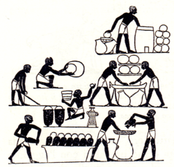 Panettieri e birrai egizi della XVII dinastia