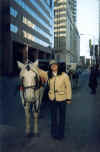 Chicago horse.jpg (150711 bytes)