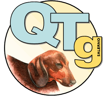 QTg big logo