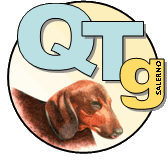 QTg logo