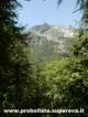 Pancherot visto da Loz -  Pancherot mountain from Lake Loz