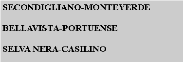 Casella di testo: SECONDIGLIANO-MONTEVERDEBELLAVISTA-PORTUENSESELVA NERA-CASILINO