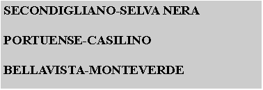 Casella di testo: SECONDIGLIANO-SELVA NERAPORTUENSE-CASILINOBELLAVISTA-MONTEVERDE