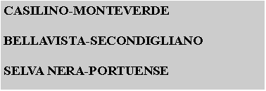 Casella di testo: CASILINO-MONTEVERDEBELLAVISTA-SECONDIGLIANOSELVA NERA-PORTUENSE