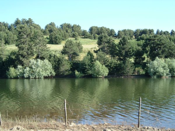 Lago Cecita, estate 2004