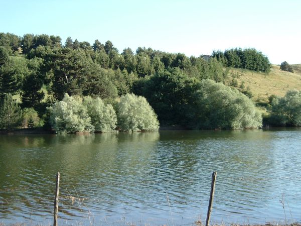 Lago Cecita, estate 2004