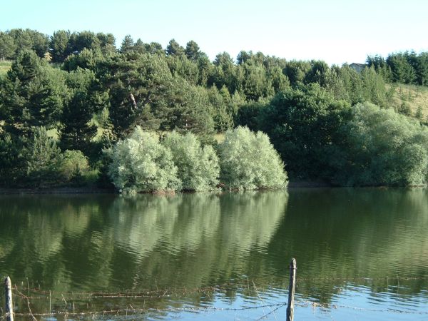 Lago Cecita, estate 2004