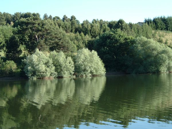 Lago Cecita, estate 2004