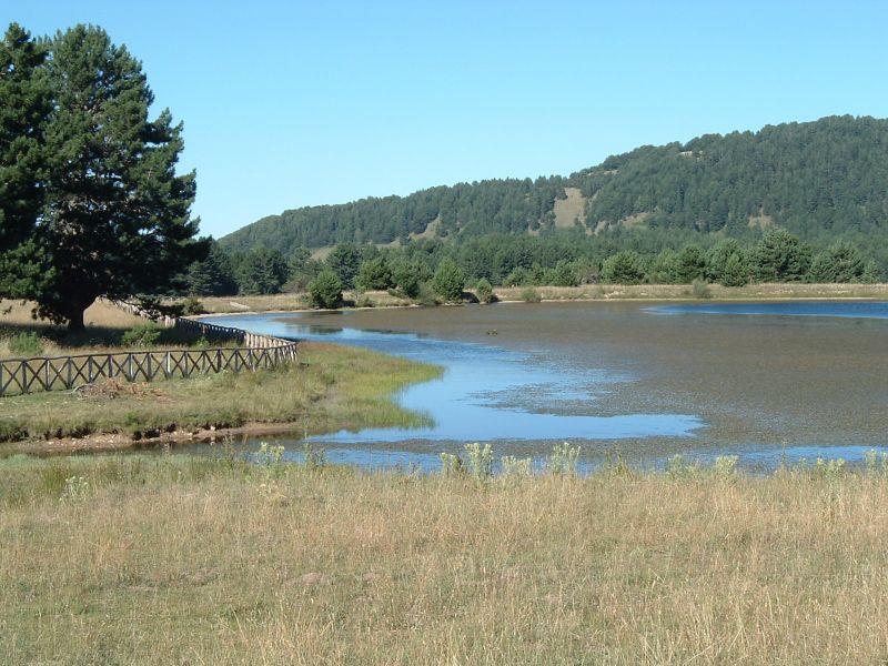 Laghetto di Macchialonga, Agosto 2006