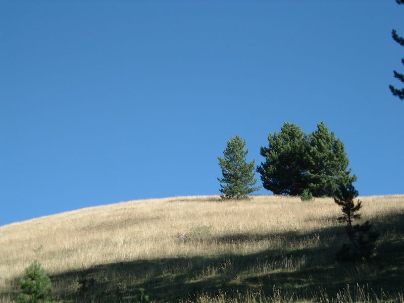 Serra Ripollata, Agosto 2006