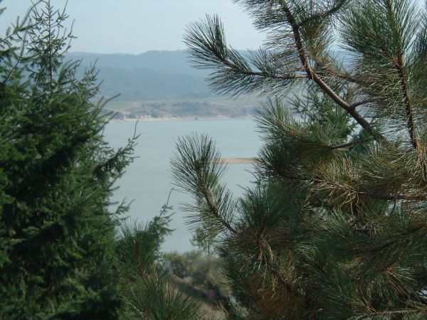 Lago cecita, 2004