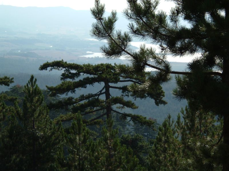 Lago Cecita, Agosto 2005