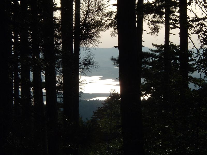 Lago Cecita, Agosto 2005