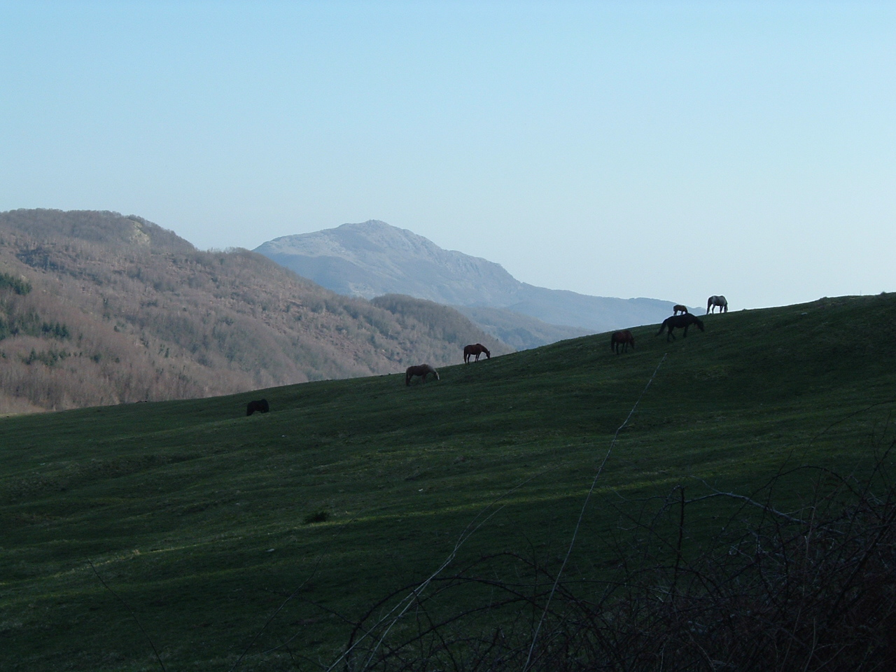 il campo - catena costiera