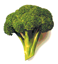 Piccola porzione di un broccolo