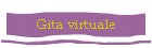 Gita virtuale