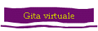 Gita virtuale