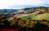 colline_di_langhirano